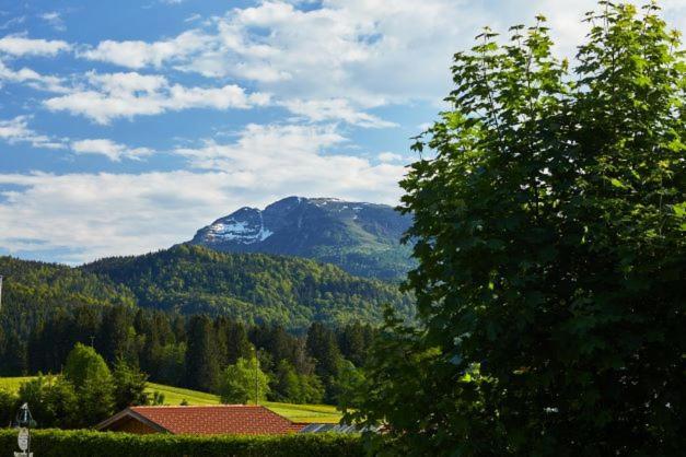 Haus Almrose Villa Reit im Winkl Exterior foto
